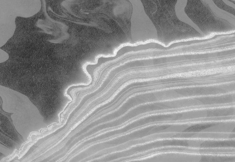 Панно и фотообои Calico Sumi Swell