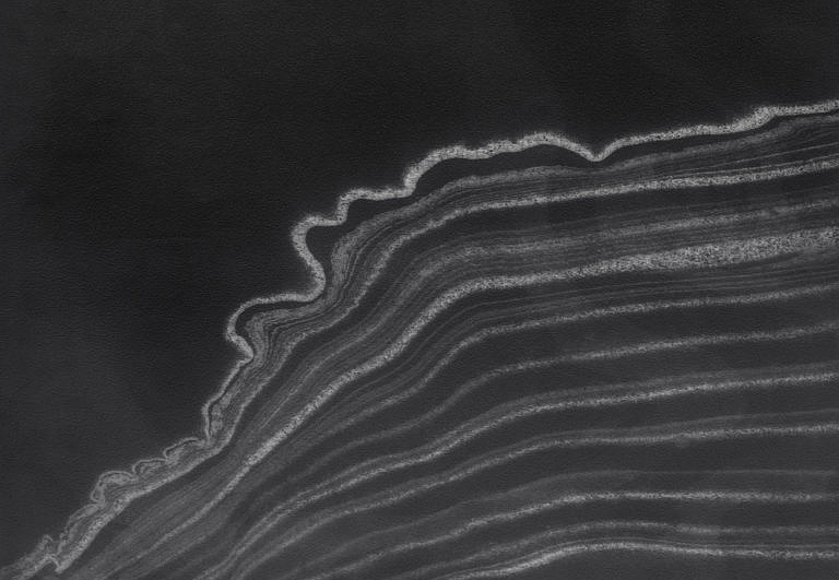 Панно и фотообои Calico Sumi Pebble