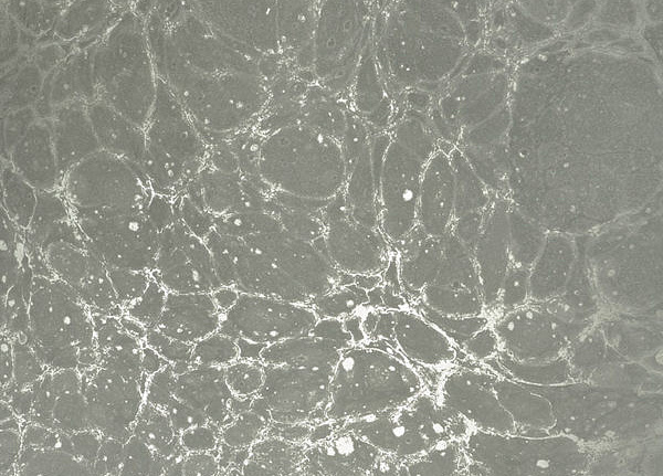 Панно и фотообои Calico Lunaris Fog