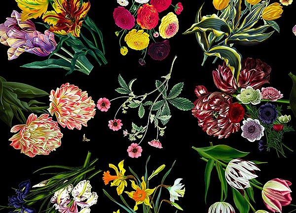 Обои Nicolette Mayer Royal Delft Flora-Fauna-Black