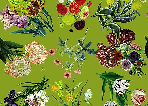 Обои Nicolette Mayer Royal Delft Flora-Fauna-Fontana