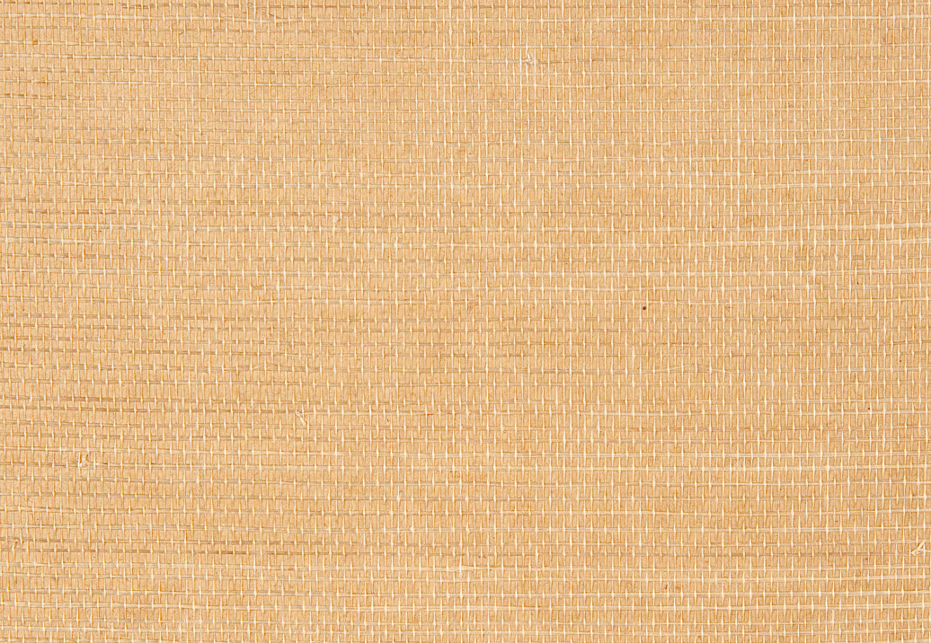 Обои Holland & Sherry Textured Collection DEWP7007/Buff