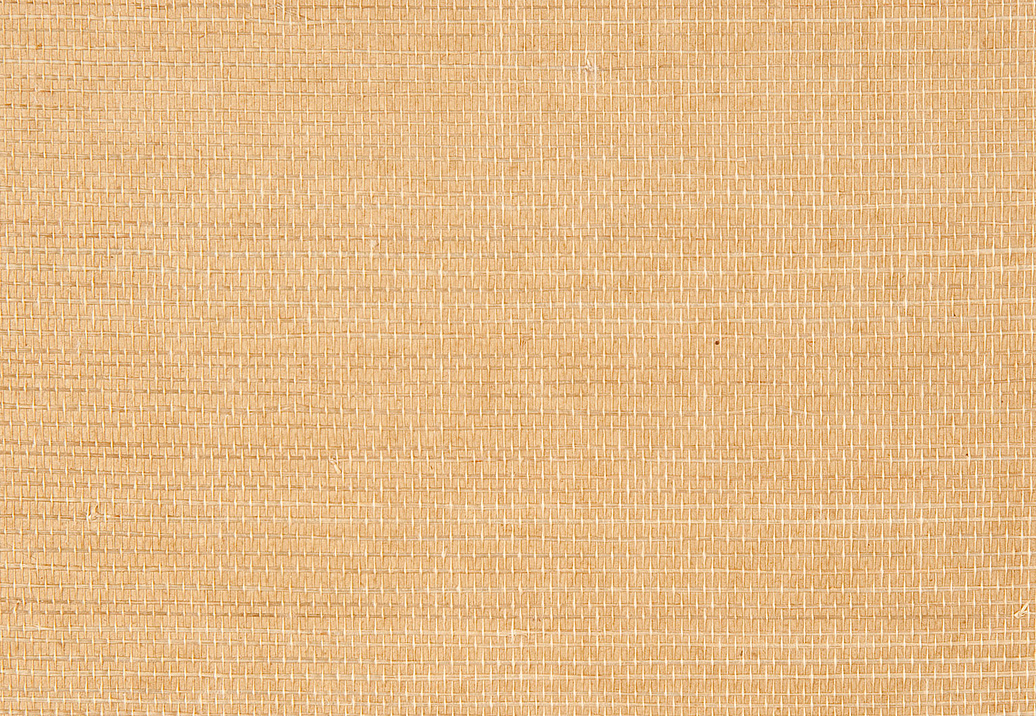 Обои Holland & Sherry Textured Collection DEWP7007/Buff