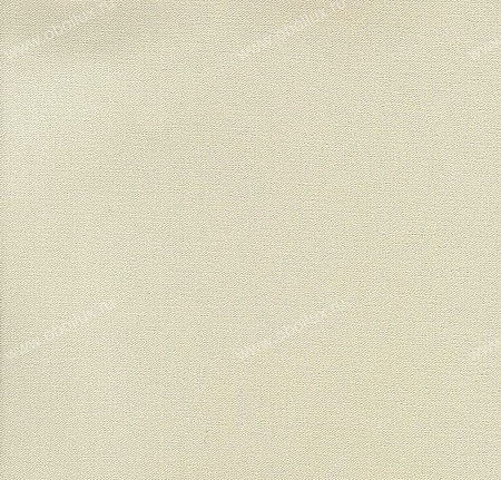 Обои Elitis Toile Peinte VP40195