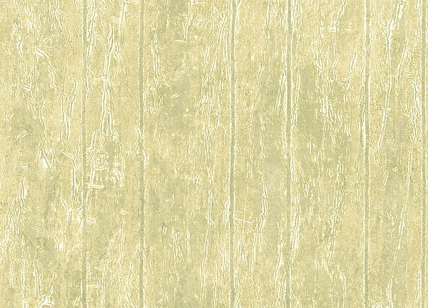 Обои Seabrook Lucia TN61405