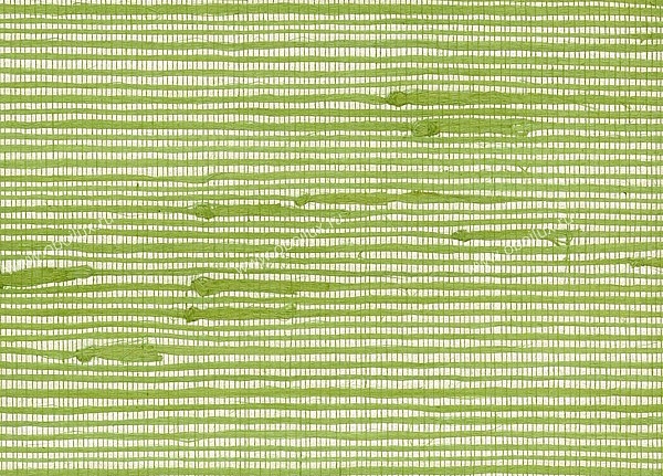 Обои Seabrook Elements of Nature NR108