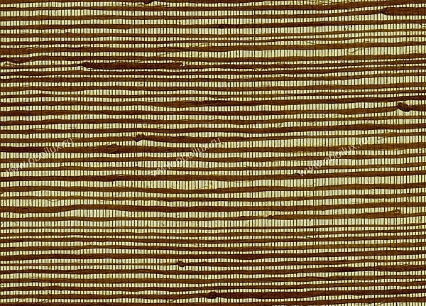 Обои Seabrook Elements of Nature NR109