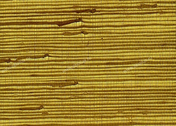 Обои Seabrook Elements of Nature NR111