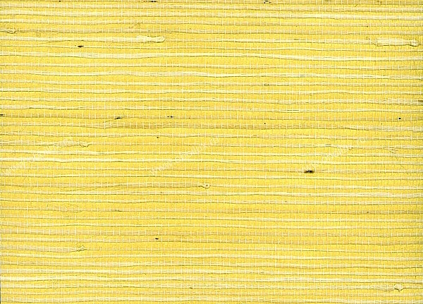 Обои Seabrook Elements of Nature NR155