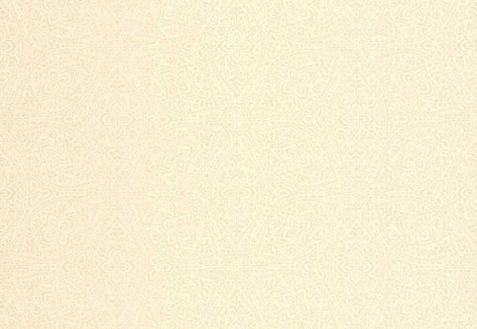 Обои Chelsea Decor Vision DL22810