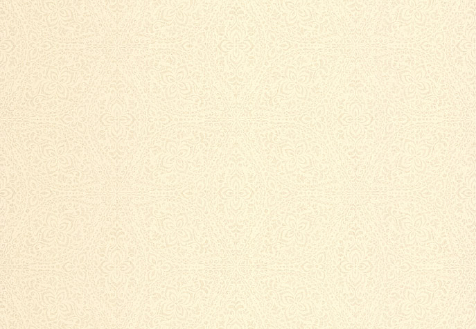 Обои Chelsea Decor Vision DL22810