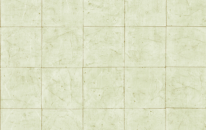 Английские обои Zoffany, коллекция Folio, артикул ZFOW312947