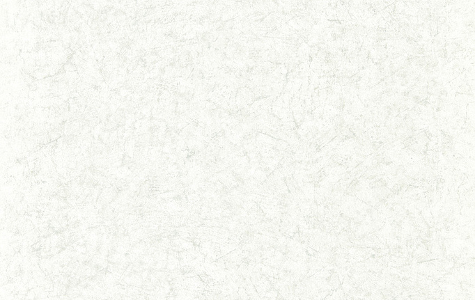 Английские обои Zoffany, коллекция Folio, артикул ZFOW312956