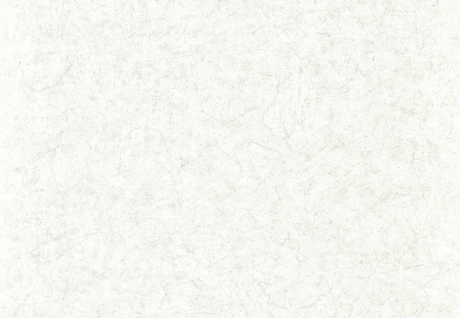 Обои Zoffany Folio ZFOW312956