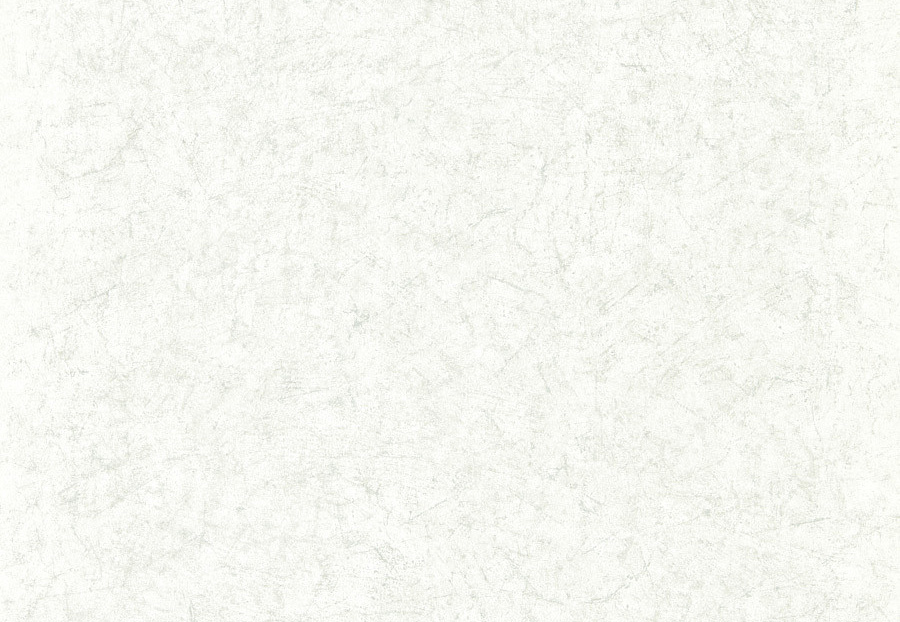 Обои Zoffany Folio ZFOW312956