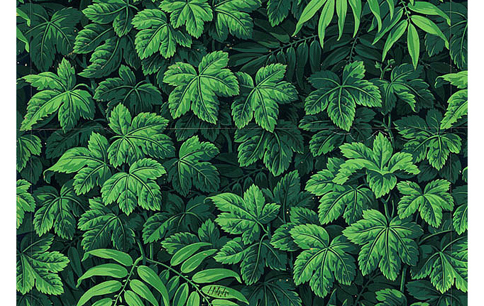 Французские обои Zuber, коллекция Archives I, артикул Verdure102/Original