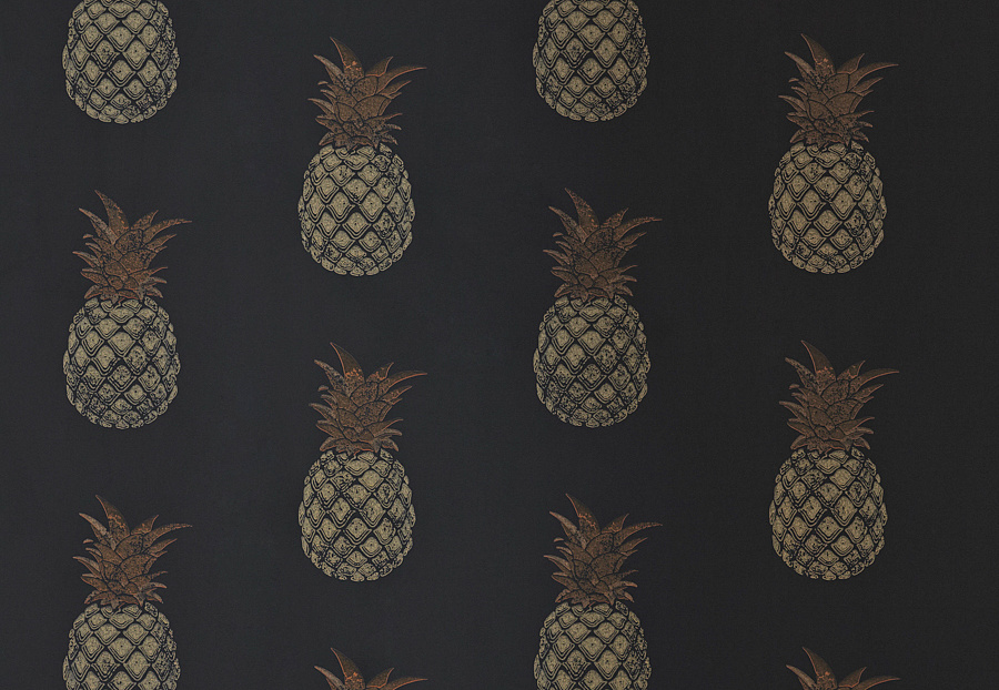 Обои Barneby Gates Book vol.3 BG1200202/Pineapple/Charcoal