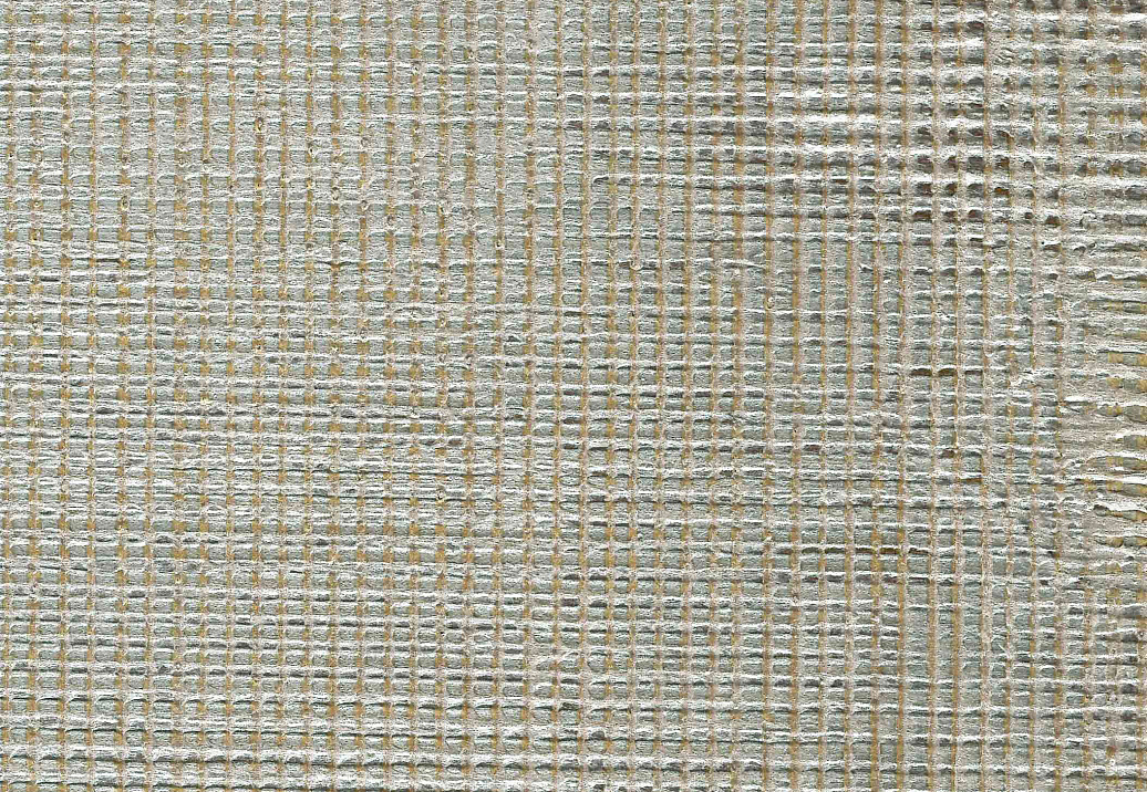 Обои Holland & Sherry Archetype Collection DEWP2095/Kastave Grey Gold