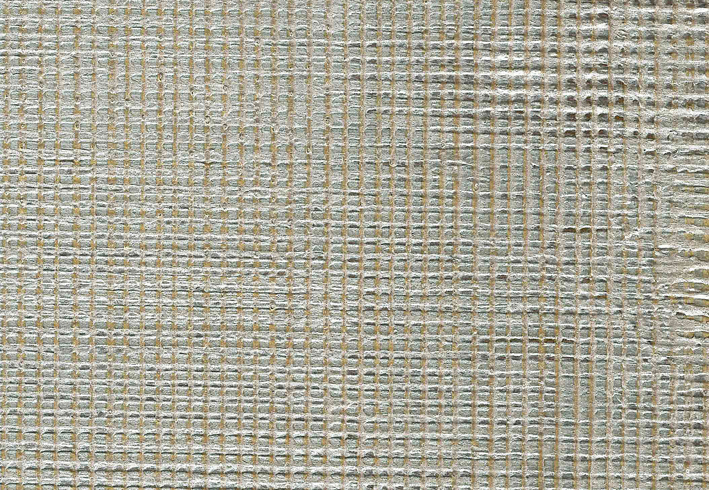 Обои Holland & Sherry Archetype Collection DEWP2095/Kastave Grey Gold