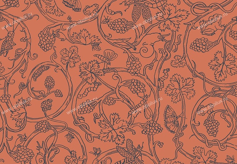 Обои Cole & Son Vivienne Westwood 86/10036