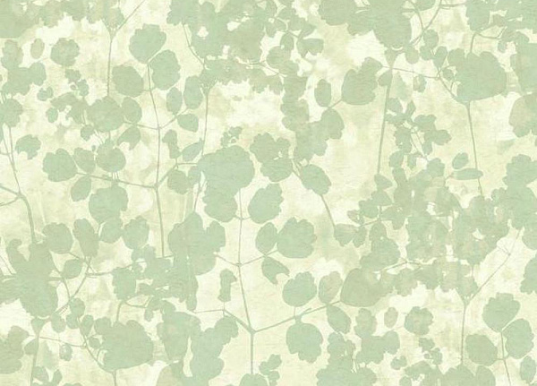 Обои York Candiсe Olson - Botanical Dreams NA0517
