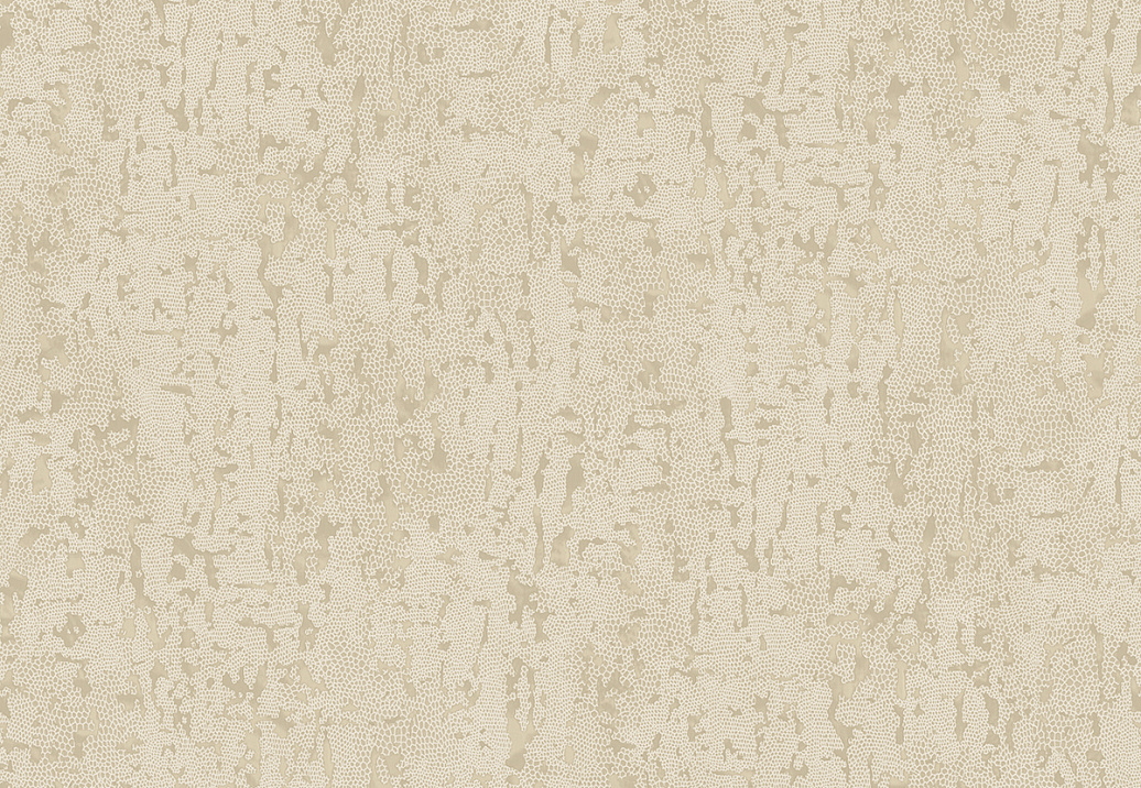 Обои Wallquest Imprint BW60207