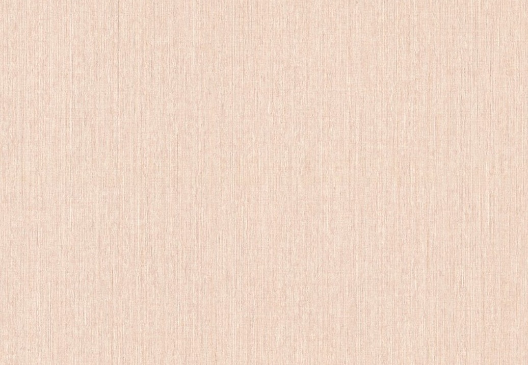 Обои Rasch Barbara Home Collection II 537147