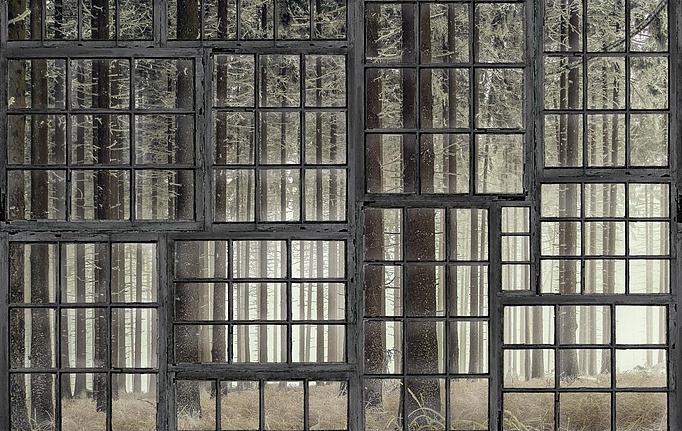 Российские панно и фотообои Hygge Wall, коллекция Collection 4, артикул H10911