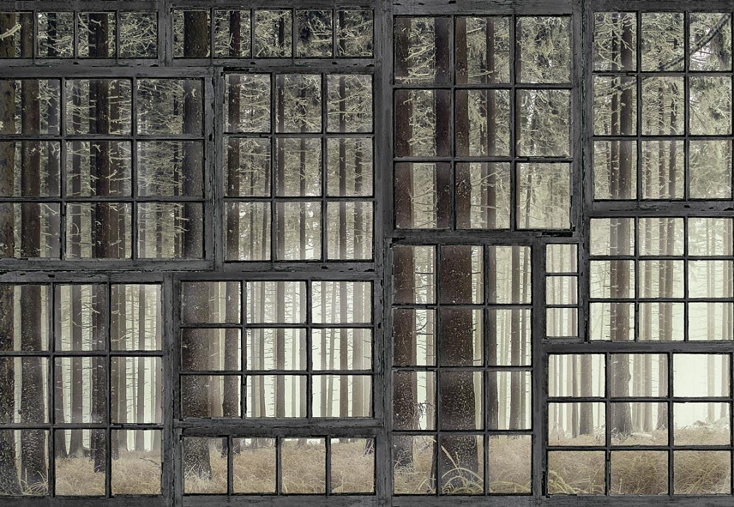 Панно и фотообои Hygge Wall Collection 4 H10911