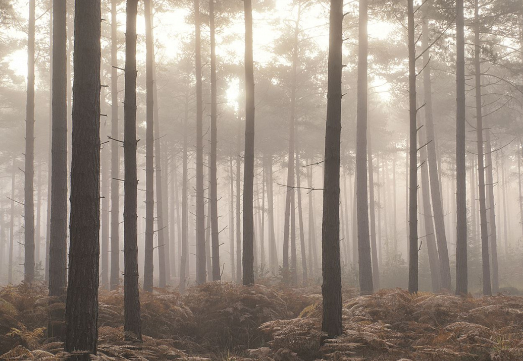 Панно и фотообои Aura Atmosphere G78426