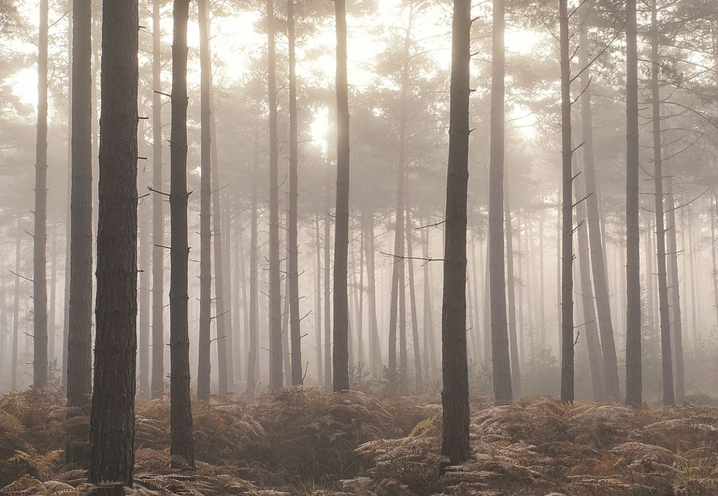 Панно и фотообои Aura Atmosphere G78426