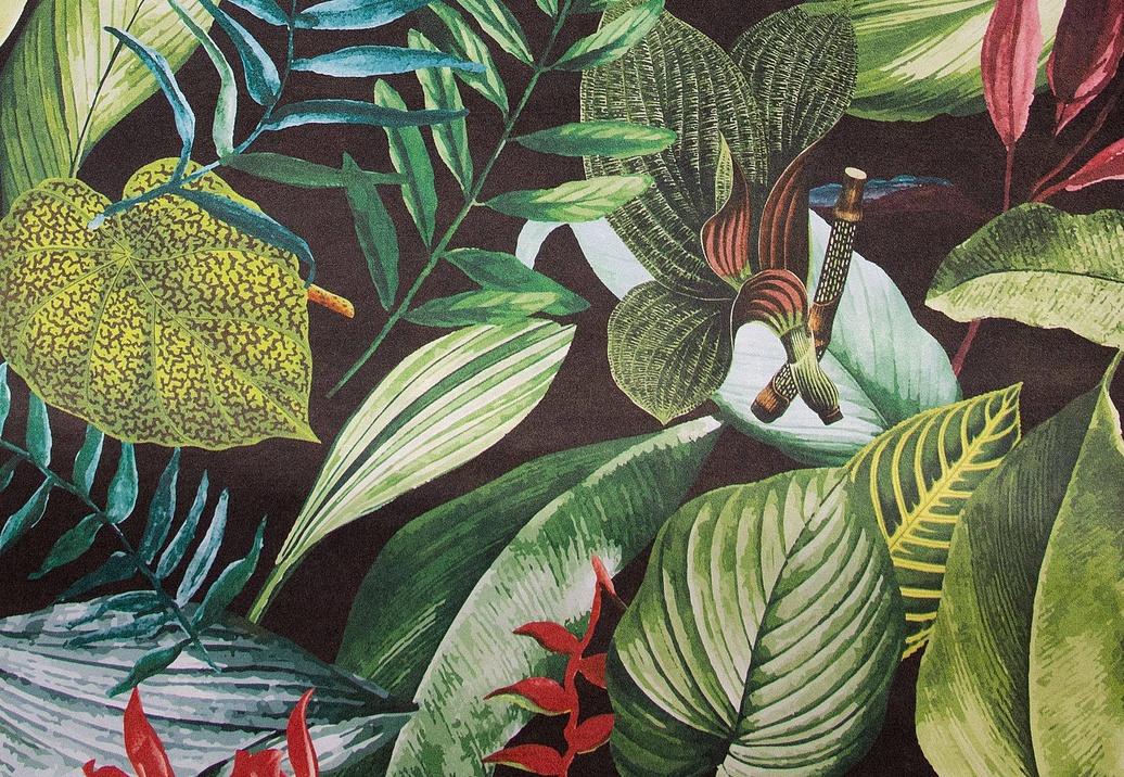 Обои Hohenberger Tropical 26742