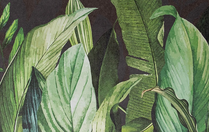Немецкие панно и фотообои Hohenberger, коллекция Tropical, артикул 18002