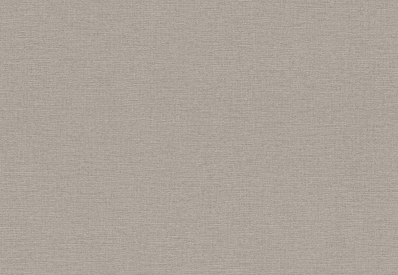 Обои Rasch Kalahari 452037
