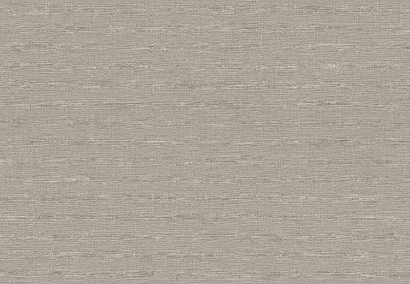 Обои Rasch Kalahari 452037