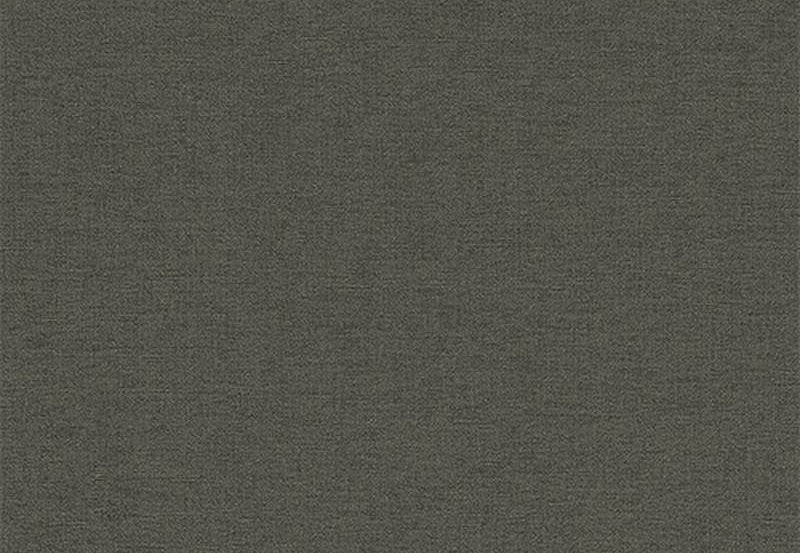 Обои Rasch Kalahari 449853
