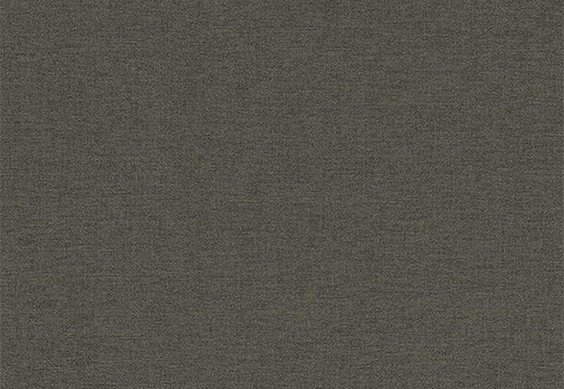 Обои Rasch Kalahari 449853