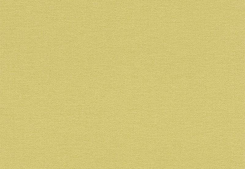 Обои Rasch Kalahari 449839