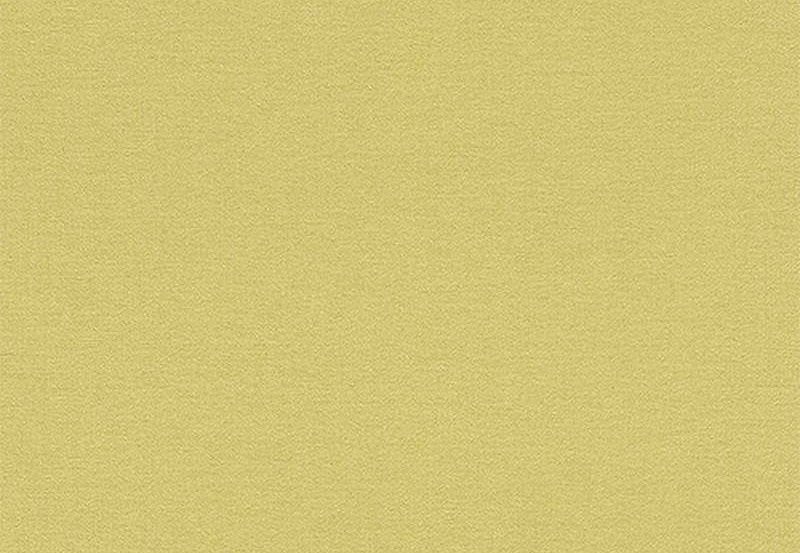 Обои Rasch Kalahari 449839
