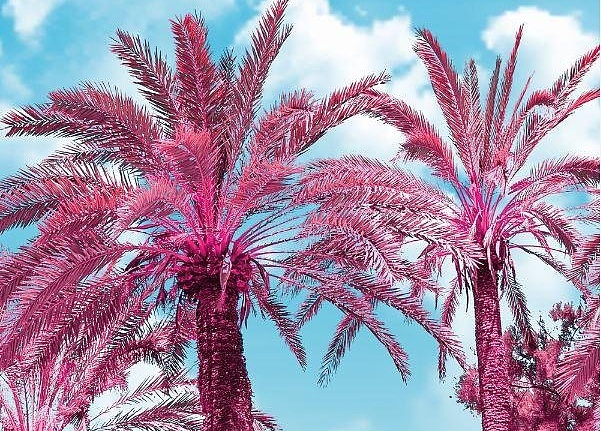 Панно и фотообои Decoprint Good Vibes GVD24300