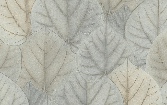 Американские обои York, коллекция Modern Nature II (Candice Olson), артикул OS4244