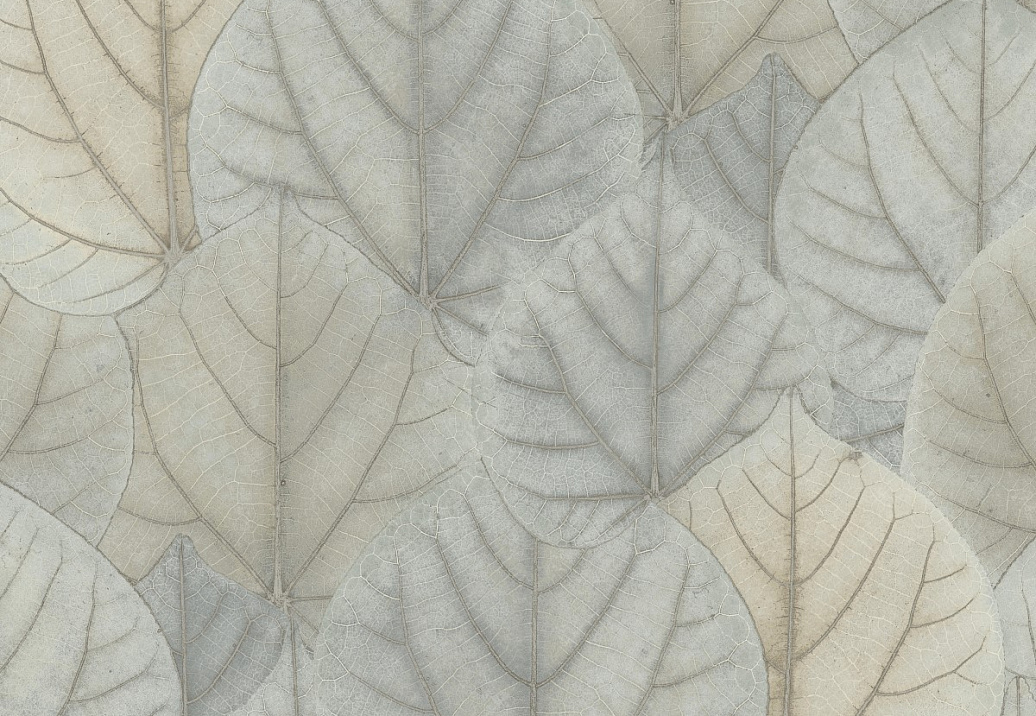 Обои York Modern Nature II (Candice Olson) OS4244