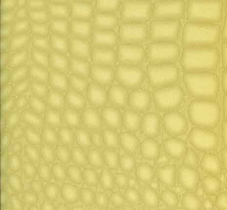 Обои Caselio Seduction SDN 5747-80-90