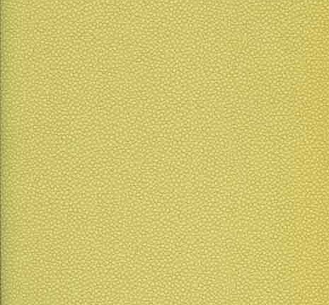 Обои Caselio Seduction SDN 5750-70-07