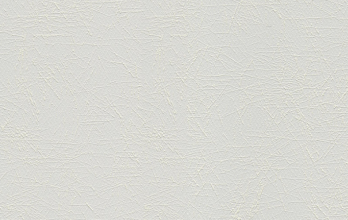 Немецкие обои A. S. Creation, коллекция Meistervlies, артикул 1035-12