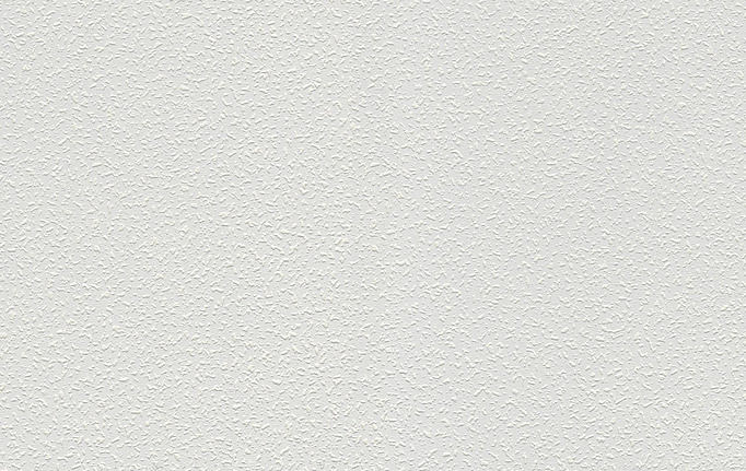 Немецкие обои A. S. Creation, коллекция Meistervlies, артикул 1041-13