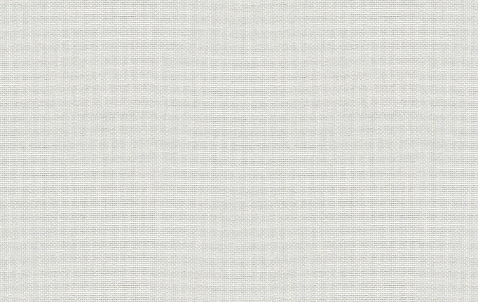 Немецкие обои A. S. Creation, коллекция Meistervlies, артикул 1451-16