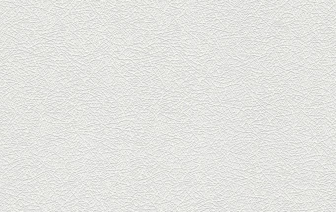 Немецкие обои A. S. Creation, коллекция Meistervlies, артикул 2604-13