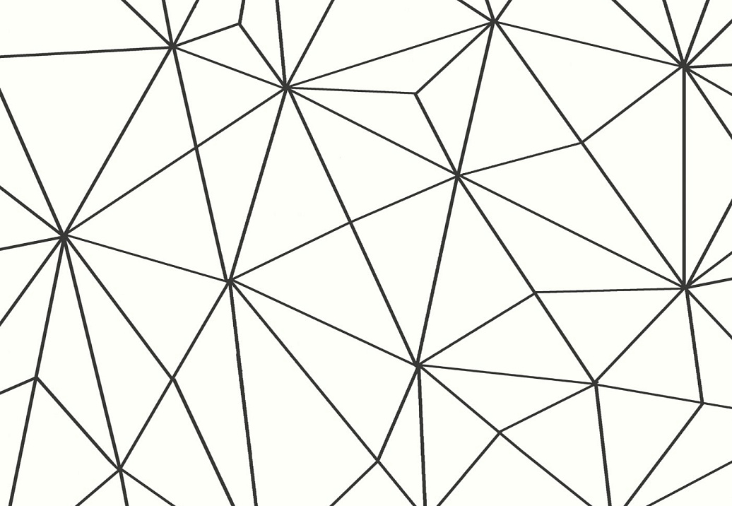 Обои Fardis Geo 12050