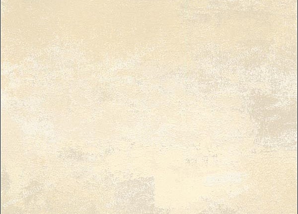 Обои Stroheim Color Gallery Neutrals vol. IV 8593E0021